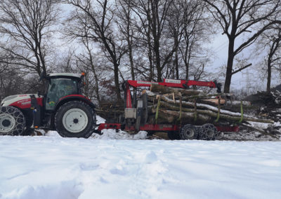 Abtransport mit Forstkrananhänger