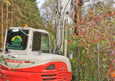 Spezialbaumfällung mit 9t-Bagger